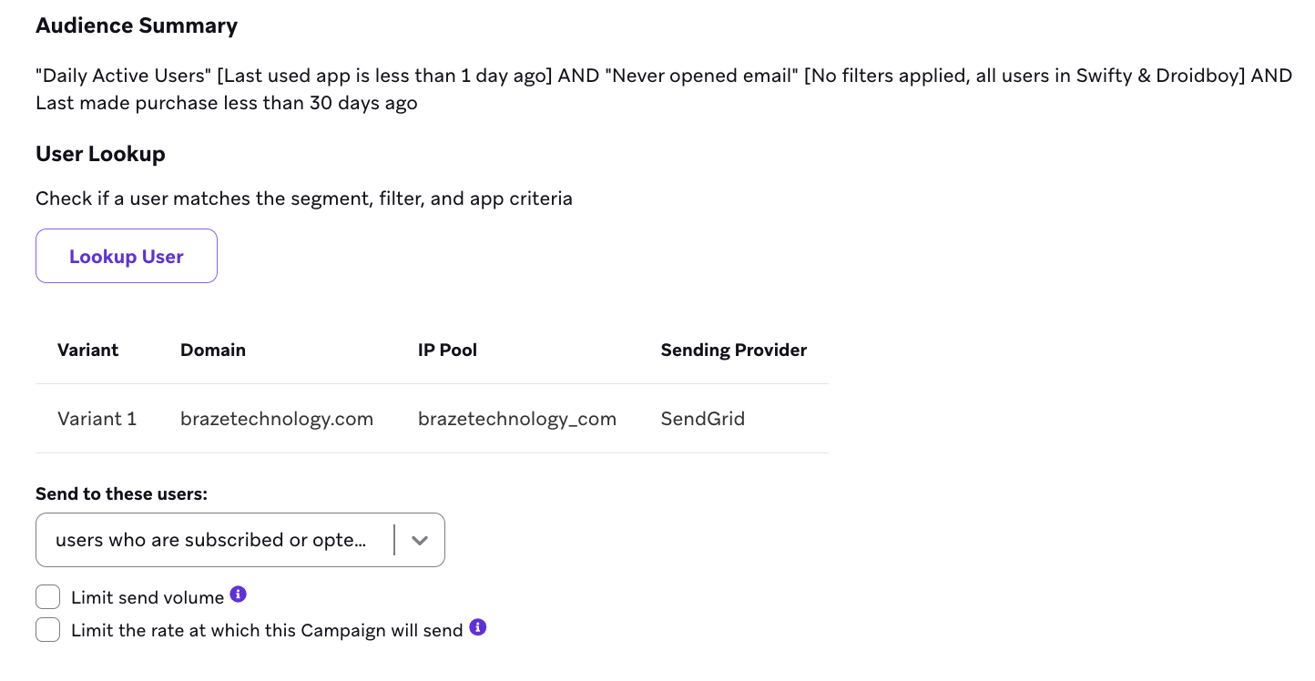 The "Audience Summary" section with options to set a maximum user cap or rate limit delivery speed.